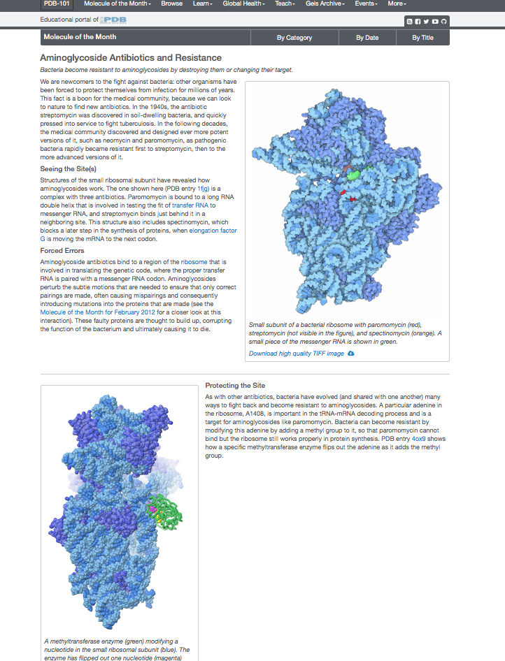 Screenshot of the PDB website showing the ribosome structure